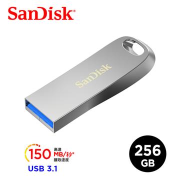 SanDisk晟碟 256GB 隨身碟