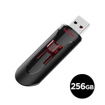 SanDisk晟碟 256GB 隨身碟